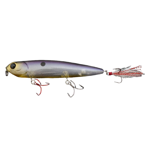 Dirty Dancer