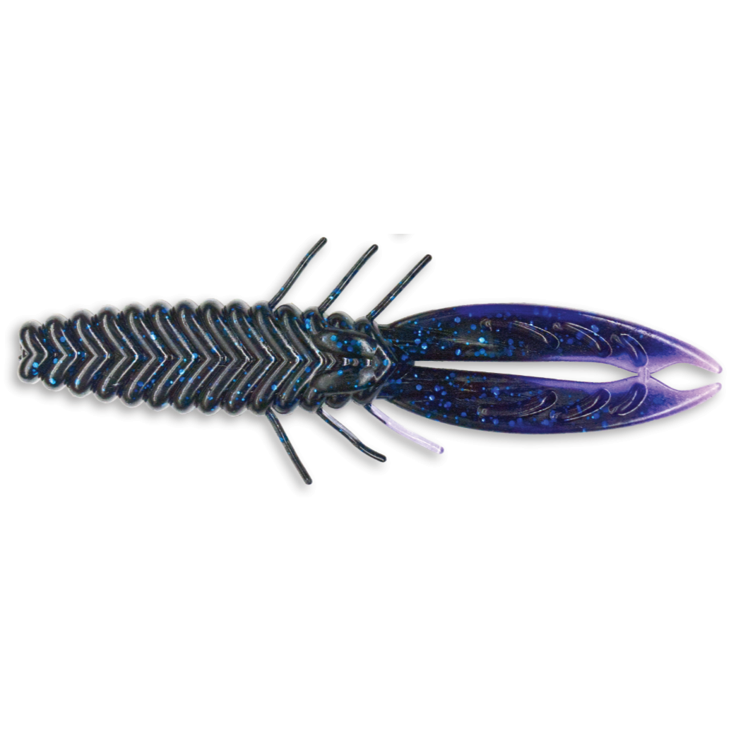 Intruder XGL