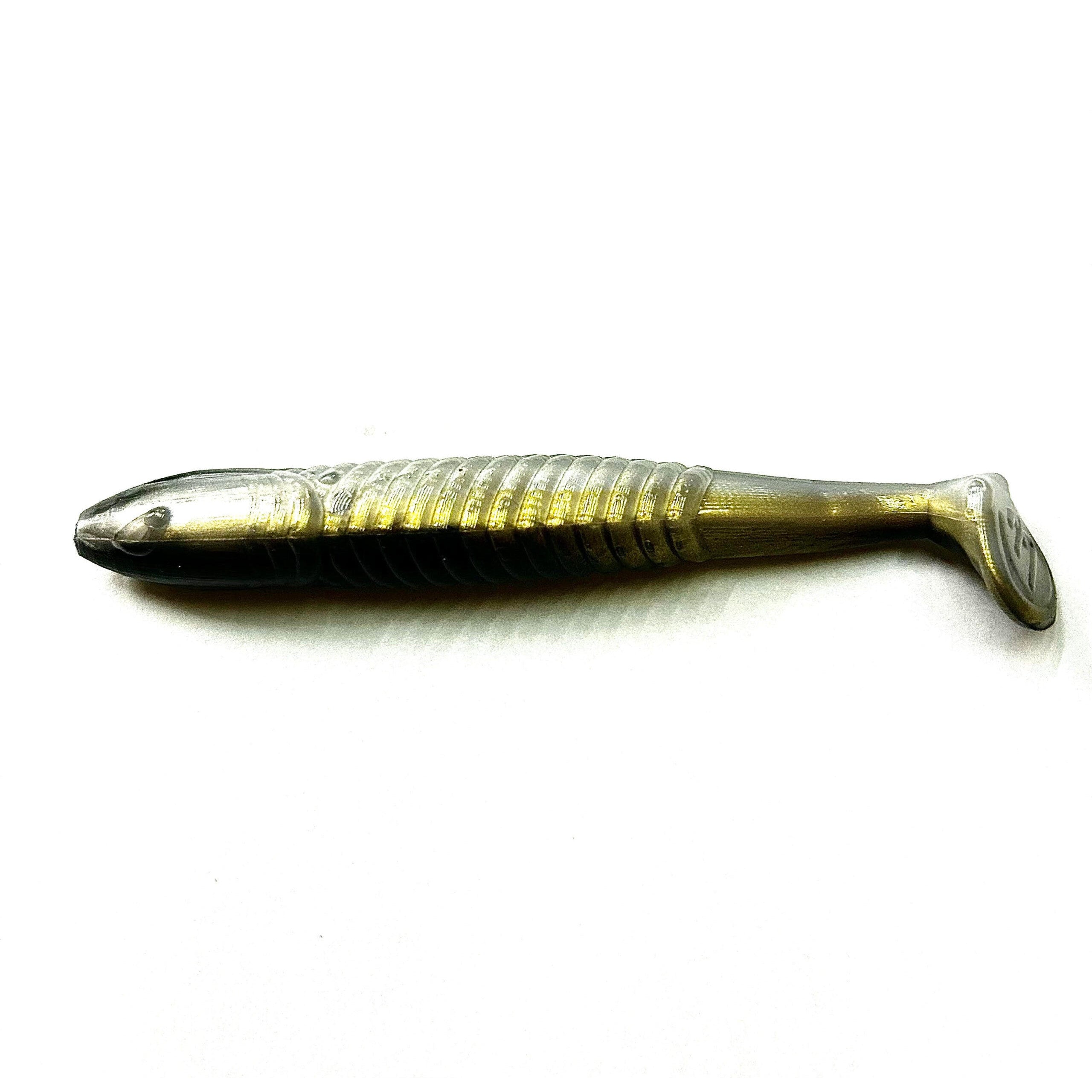 Super Swimmer – Black Belly Golden Shad